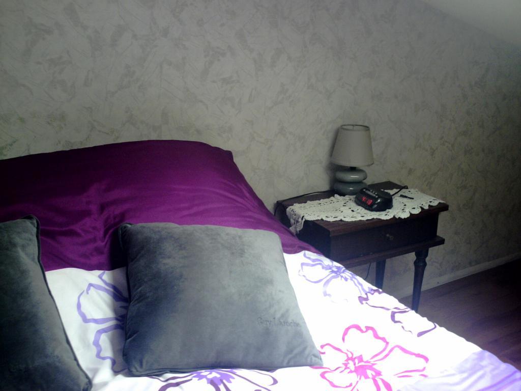 Chambres D'Hotes Riguet 勒芒 外观 照片